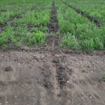 Erosion and Sediment Control with Soil Lynx