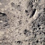 Erosion Control with Soil Lynx